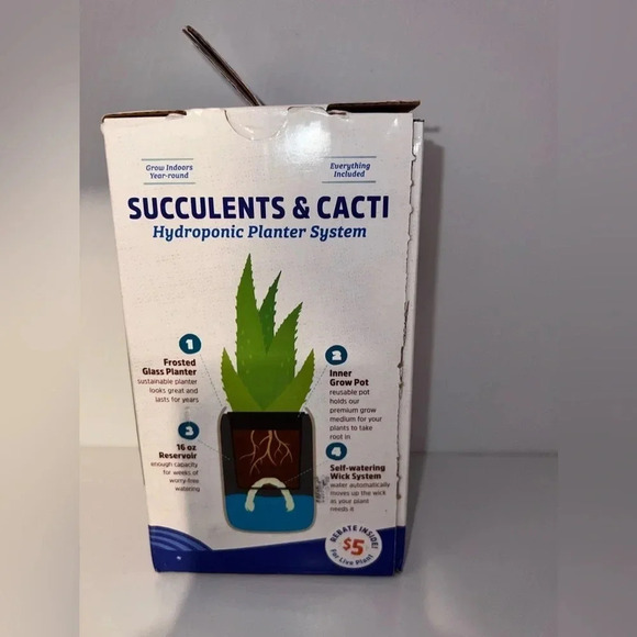 Back to the roots self watering grow kit design for succulents and cacti - Picture 2 of 4